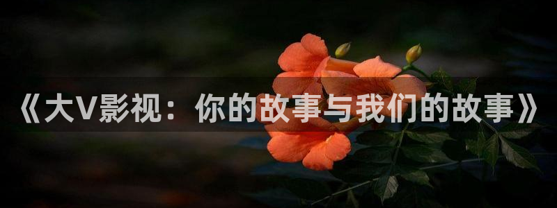 《大V影视：你的故事与我们的故事》