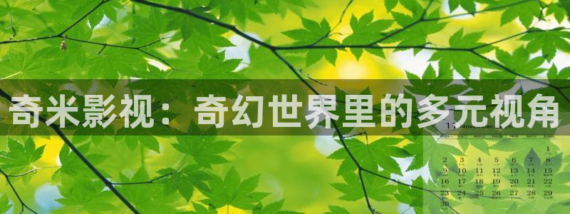 奇米影视：奇幻世界里的多元视角