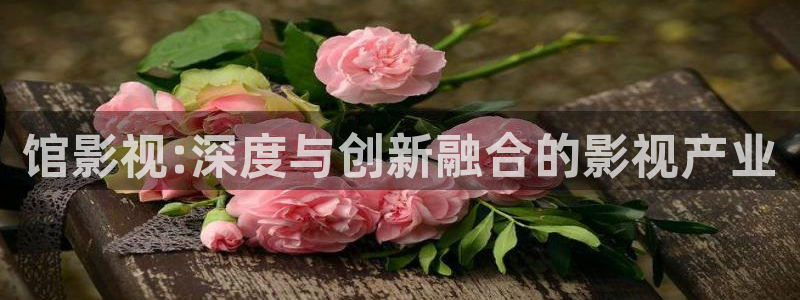 馆影视:深度与创新融合的影视产业