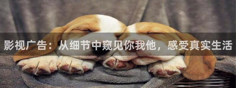影视广告：从细节中窥见你我他，感受真实生活