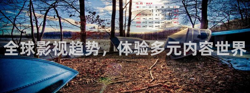 全球影视趋势，体验多元内容世界