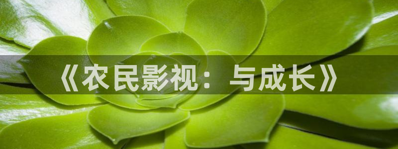 《农民影视：与成长》