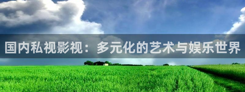 国内私视影视：多元化的艺术与娱乐世界