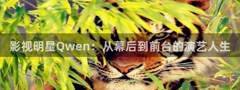 影视明星Qwen：从幕后到前台的演艺人生