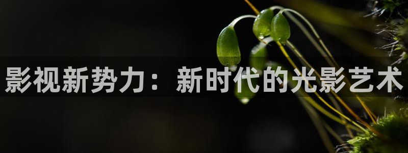 影视新势力：新时代的光影艺术