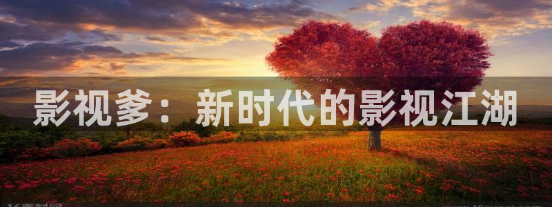影视爹：新时代的影视江湖